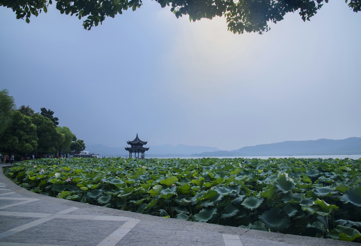 A pavilion beside lotus leaves on Hangzhou’s West Lake